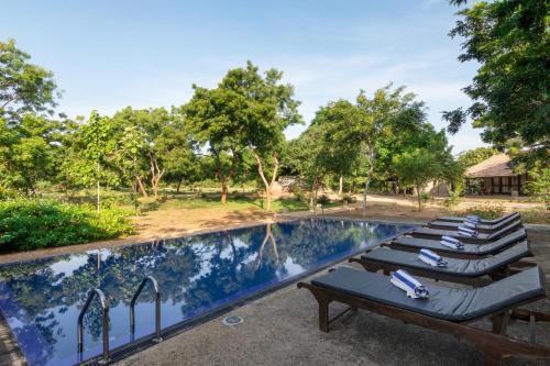 a row of lounge chairs next to a swimming pool at Koragaha Lodge - Yala in Tissamaharama