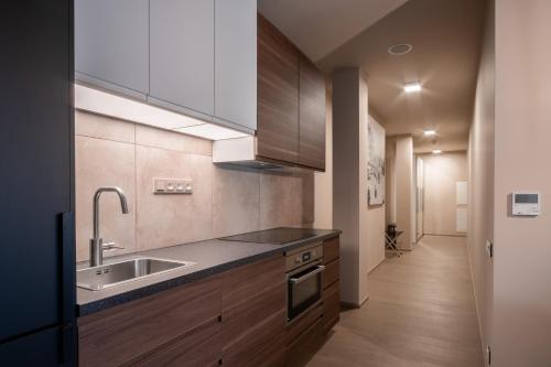Kuchyň nebo kuchyňský kout v ubytování Aparthotel Rimska 14