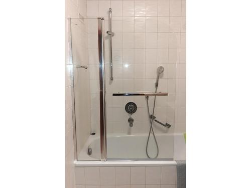 a shower with a glass door in a bathroom at Ferienwohnung Liparis in Bad Birnbach