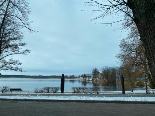 a park with a body of water and a statue at Inalda in Ełk