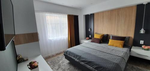a bedroom with a bed and a window at Chilia 1 Apartments in Chilia Veche