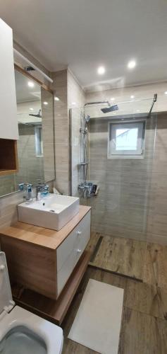 a bathroom with a sink and a toilet at Chilia 1 Apartments in Chilia Veche