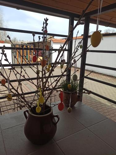 a plant in a vase with ornaments on it at Penzion Pasohlávky in Pasohlávky