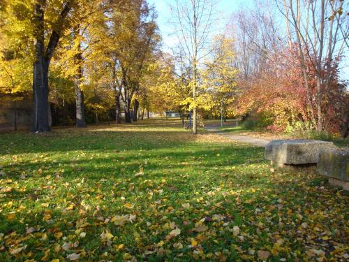 a park with trees and leaves on the grass at Pension Unstrutpromenade in Freyburg