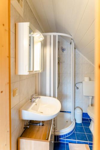 a bathroom with a sink and a shower at Gästezimmer Steiner in Gamlitz