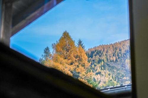 Un paisaje natural cerca del chalet de montaña