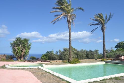 a swimming pool with palm trees in the background at Agriturismo Zinedi in Pantelleria