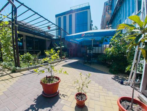 a patio with potted plants in front of a building at Guest House Panorama in Adler