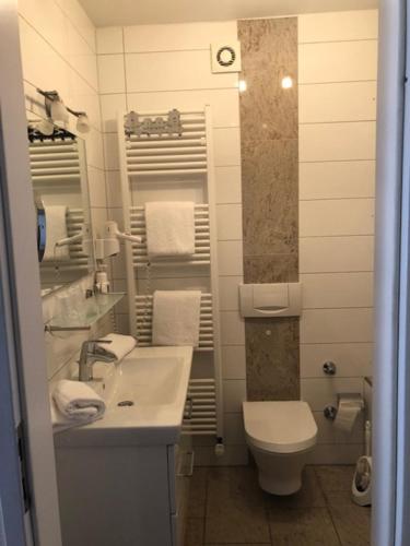 a bathroom with a sink and a toilet at Hotel Restaurant Zum Schwan in Mettlach
