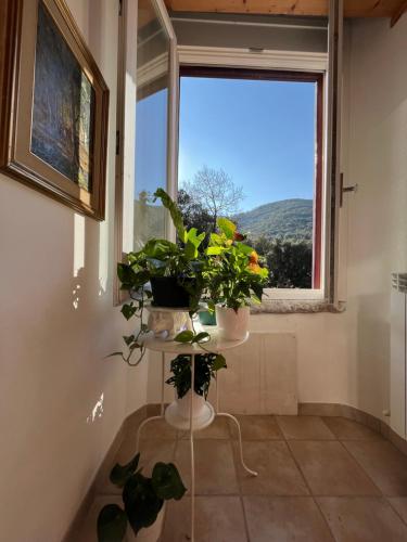 a room with a window with a bunch of plants at B&B La Fucinaia Pet Friendly Adults only in Campiglia Marittima
