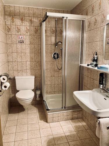 a bathroom with a shower and a toilet and a sink at Berg-Gasthof Hötzelein in Kunreuth