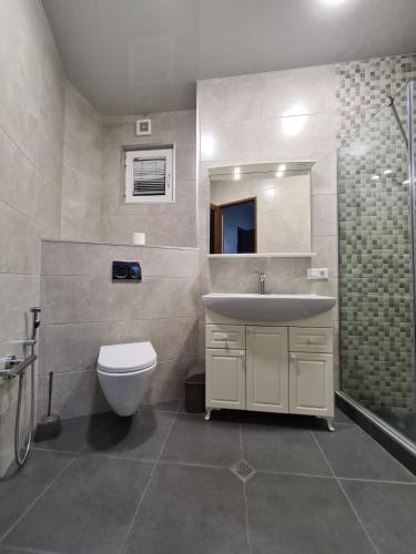 a bathroom with a sink and a toilet and a mirror at Nino's Cosy Apartment in Kutaisi