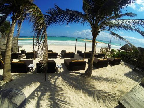 圖盧姆的住宿－Sivana Tulum，海滩上,有椅子和棕榈树,还有大海