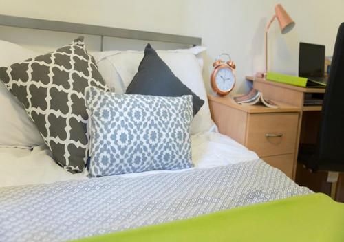 Trendy Rooms For STUDENTS Only, SOUTHWARK PARK - SK