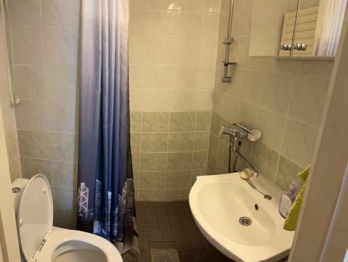 een kleine badkamer met een toilet en een wastafel bij Yksiö kilometri jokirannasta föriltä in Turku