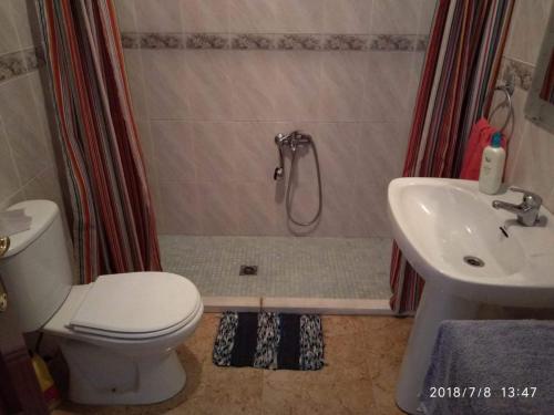 a bathroom with a shower and a toilet and a sink at MOJACAR PLAYA in Mojácar