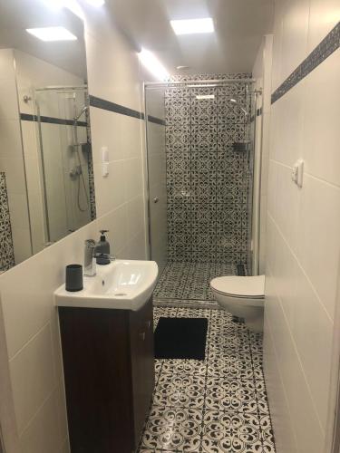 a bathroom with a toilet and a sink and a shower at Blisko Teatru 2 in Wałbrzych