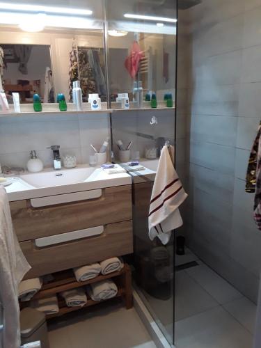 uma casa de banho com um lavatório e uma cabina de duche em vidro. em Le rêve de Lou et balou em Saint-Gervais-les-Bains