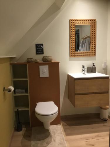 a bathroom with a toilet and a sink at 't Greefsch Geluck in Kalmthout