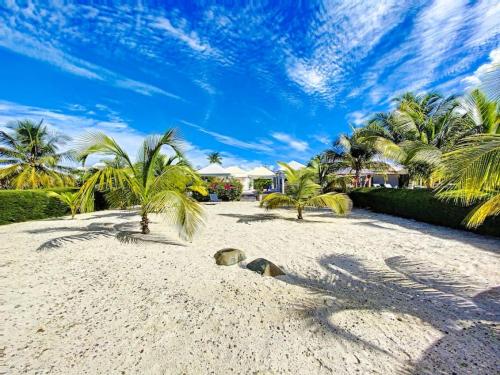 piaszczystą plażę z palmami i niebieskim niebem w obiekcie Villa Marie, swimming pool, beach, pontoon and jacuzzi, all private w mieście Baie Nettle