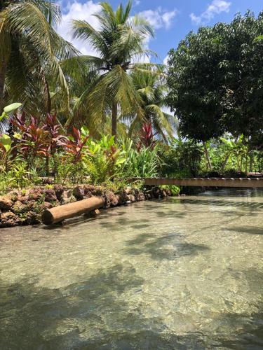 una piscina de agua con palmeras en el fondo en Hostel Das Canárias, en Natal