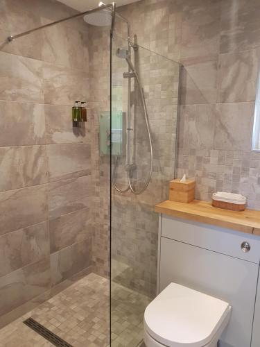 ein Bad mit einer Dusche und einem WC in der Unterkunft Wyvern Apartment in Yeovil