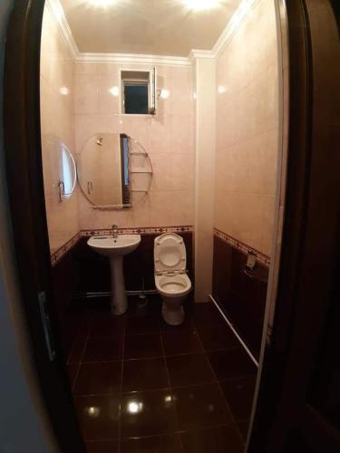 a small bathroom with a toilet and a sink at Green garden Կանաչ այգի in Ijevan