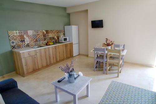 Una cocina o cocineta en Two Brothers Studios & Apts