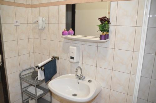 ein Bad mit einem Waschbecken und einem Spiegel in der Unterkunft Fűz Apartman in Balatonfůzfő
