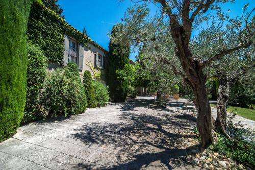 a tree in the courtyard of a house at Baumanière - Les Baux de Provence in Les Baux-de-Provence