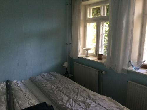 a bedroom with a bed and two windows at Ribe centrum i fredet hus in Ribe