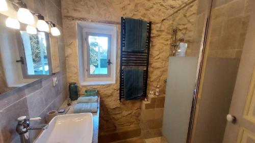 a bathroom with a sink and a shower with windows at La Bastide des Amouriers in Caumont-sur-Durance