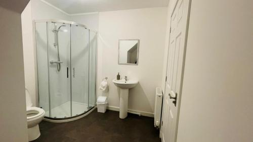 a bathroom with a shower and a toilet and a sink at The Old Stables 17a in Dumfries