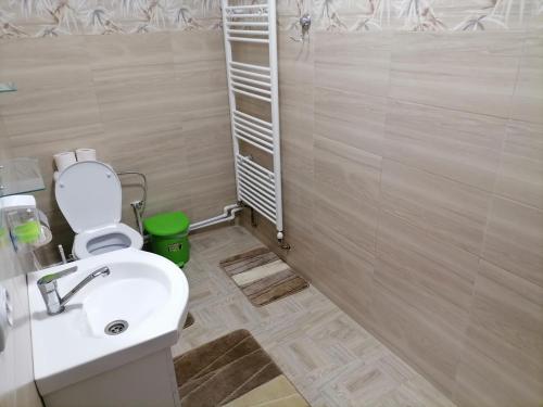 a bathroom with a white sink and a toilet at Cabana Daria in Gîrda de Sus