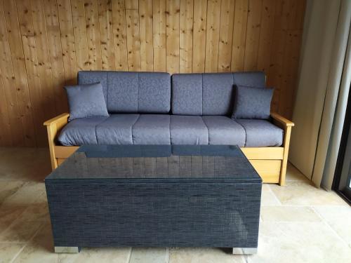 ein Sofa mit zwei Kissen auf dem Tisch in der Unterkunft Limone Vallée in Montrigaud