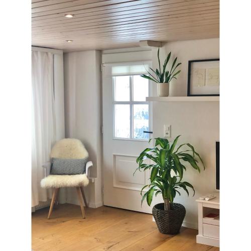 Gallery image of Cozy & warm apartment in Oberägeri in Oberägeri