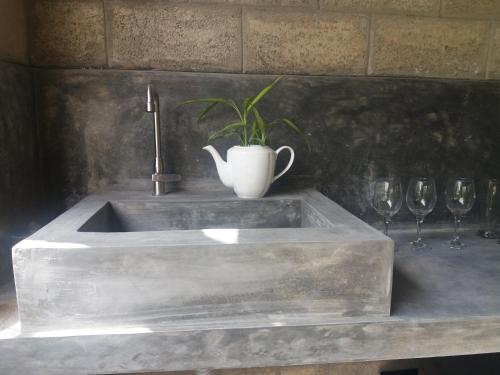 a sink with a potted plant and two wine glasses at Ella green stay in Ella