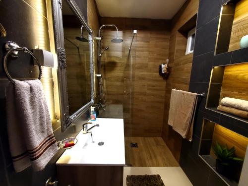 a bathroom with a sink and a shower at Katanera 2 in Kraljevo