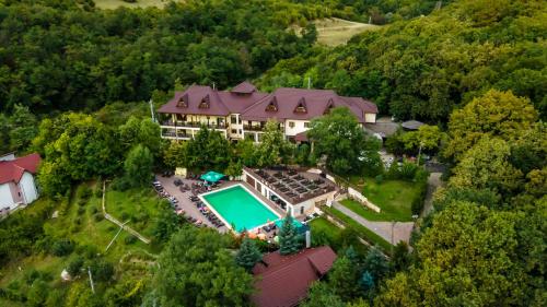 einen Luftblick auf ein großes Haus mit einem Pool in der Unterkunft Pension Casa cu Tei in Sărata-Monteoru