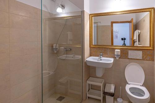 a bathroom with a toilet and a sink and a shower at Pension Casa cu Tei in Sărata-Monteoru