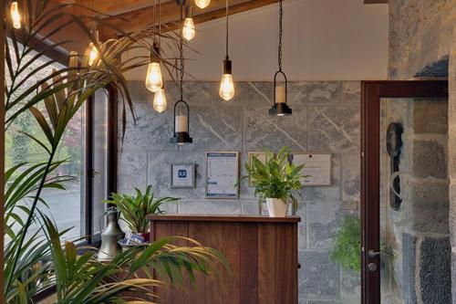 a restaurant with a counter with potted plants and lights at Hotel Larrañaga in Azpeitia