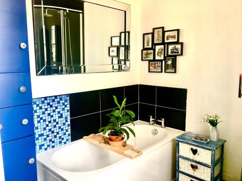 uma casa de banho com uma banheira, um espelho e uma planta em Spacious and cozy apartment in the heart of Haddington em Haddington