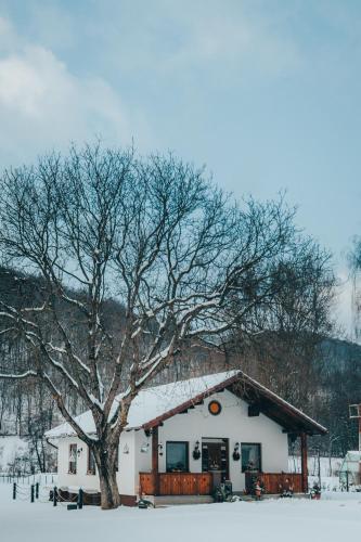 a white house with a tree in the snow at Vén Diófa in Sub Cetate