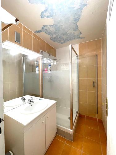 une salle de bain avec un lavabo et une douche dans l'établissement Chambre privée en colocation dans un appartement au centre de rillieux la pape, à Rillieux-la-Pape