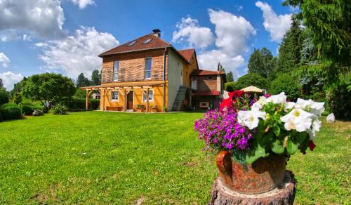 a house with a vase of flowers in front of it at Chalupa Jenín in Dolní Dvořiště