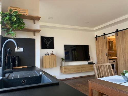 Μια τηλεόραση ή/και κέντρο ψυχαγωγίας στο Apartment Bella Vista 1