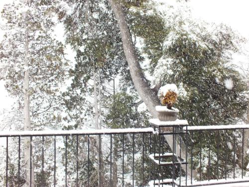 a snow covered fence with a flower pot on it at Luma Casa De Montaña in Villa La Angostura