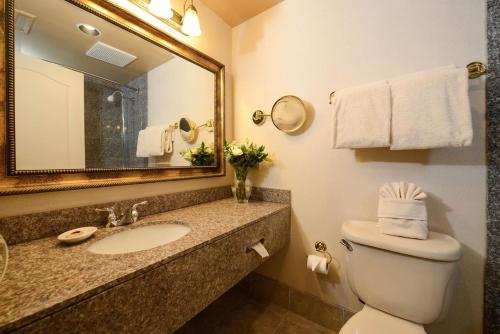 een badkamer met een wastafel, een toilet en een spiegel bij O'Brien Riverwalk Boutique Hotel in San Antonio