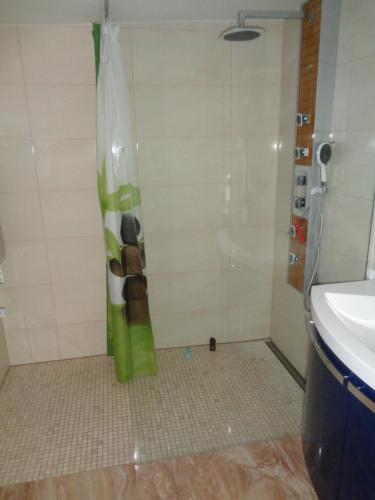 een badkamer met een douche en een wastafel bij Ferienhaus Saremba in Joachimsthal