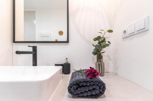 Et badeværelse på Apartament Active Mercure